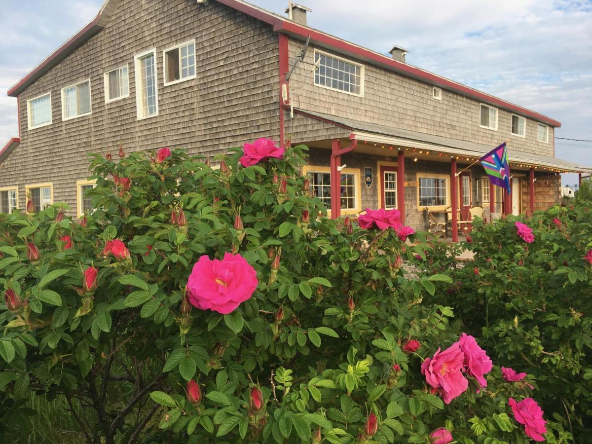 Auberge Cafe Acadien Bonaventure Kültér fotó